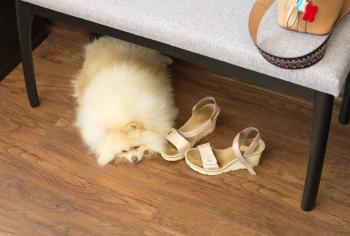 Банкетка ZiP-mebel Лина, мягкая