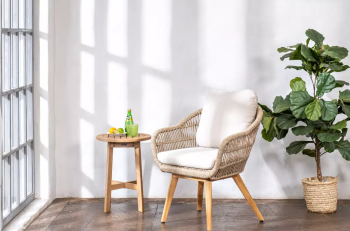 Кресло обеденное из тика Joygarden TALARA