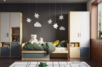 Шкаф для одежды Сильва НМ 041.70 Элиот