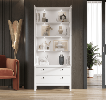 Шкаф БРВ Мебель EWA REG2W2S с подсветкой