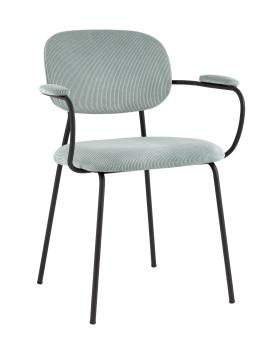 Серо-голубой