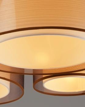 Светильник потолочный Moderli V10624-5C Room