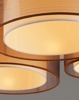 Светильник потолочный Moderli V10624-5C Room