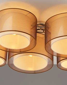 Светильник потолочный Moderli V10624-5C Room