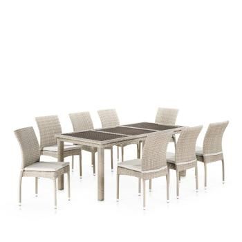 Комплект плетеной мебели Афина T365/Y380C-W85 (8+1) + подушки