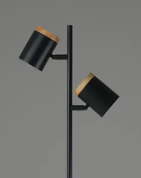 Торшер Moderli V11287-2F Asheswood