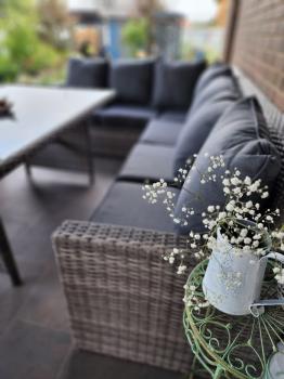 Обеденная группа ROYAL FAMILY ZORRO PLUS