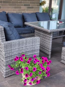 Обеденная группа ROYAL FAMILY ZORRO PLUS