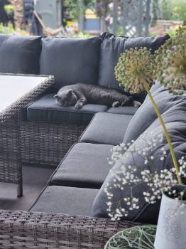 Обеденная группа ROYAL FAMILY ZORRO PLUS