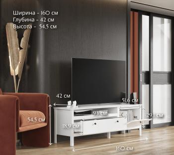 Тумба под телевизор БРВ Мебель HELGA RTV1D1S